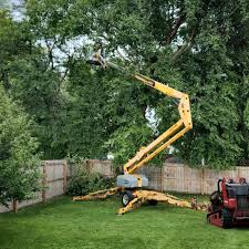 Best Utility Line Clearance  in Plymouth, MI