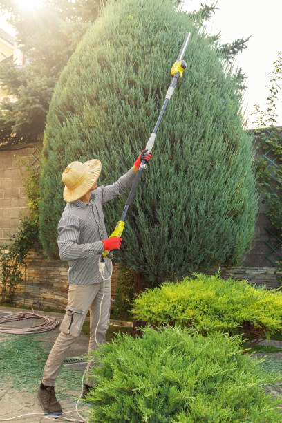 Best Pest Control for Lawns  in Plymouth, MI